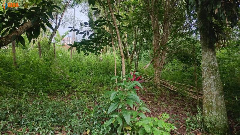 Terreno em Mailasqui, São Roque - Vende-se Terreno em Mailasqui