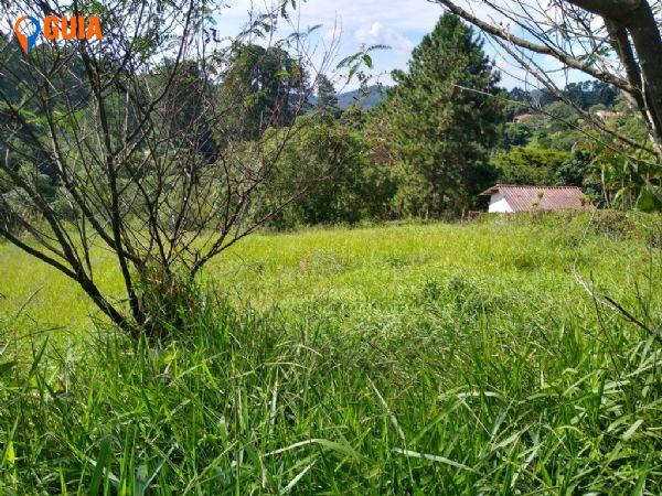 Chácara em Vila Darcy Penteado (Mailasqui), São Roque - Chácara com 4 dormitórios, 500 m² - venda por R$ 2.400.000,00 ou aluguel por R$ 18.000,00 - Vila Darcy Penteado (Mailasqui) - São Roque/SP - Foto 2