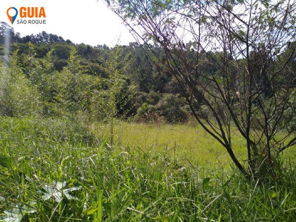 Chácara em Vila Darcy Penteado (Mailasqui), São Roque - Chácara com 4 dormitórios, 500 m² - venda por R$ 2.400.000,00 ou aluguel por R$ 18.000,00 - Vila Darcy Penteado (Mailasqui) - São Roque/SP - Foto 3